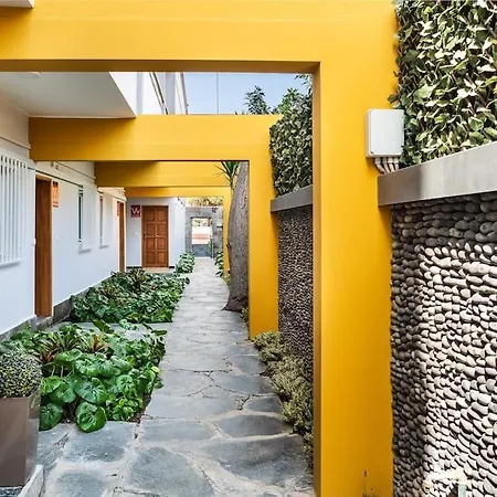 Puccini Oasis - Capriccio *